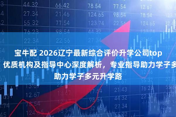 宝牛配 2026辽宁最新综合评价升学公司top5推荐榜，优质机构及指导中心深度解析，专业指导助力学子多元升学路