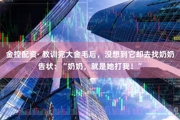 金控配资· 教训完大金毛后，没想到它却去找奶奶告状：“奶奶，就是她打我！”